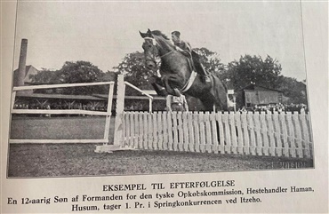 1936: En hippologisk tidsrejse
