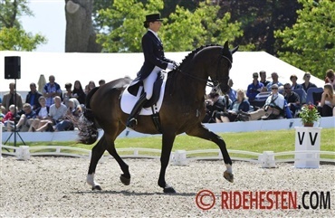 Dressurhold til Nations Cup i Florida