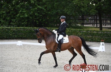 Jan M&oslash;ller Christensen dominerer ved Falsterbro Horse Show