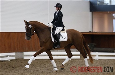 Anders Hoeck l&aelig;gger ogs&aring; sag an mod vidne
