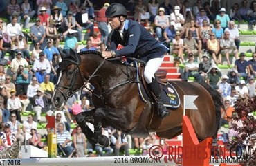 Casall Ask &Aring;rets Hest i Sverige