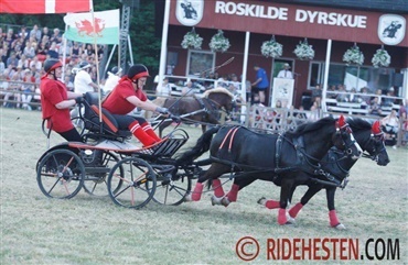 Roskilde Dyrskue fejrer 50-&aring;rs jubil&aelig;um 