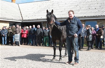 &Aring;bent hus p&aring; Hovhedegaard Hestecenter