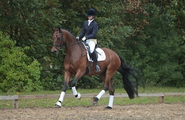 Egnethedstest i region 4
