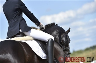 F&aring; en god opstart p&aring; udend&oslash;rss&aelig;sonen