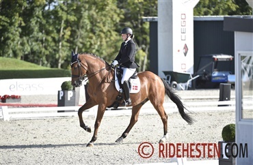 Snart mulighed for klassifikationer igen