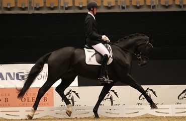 Tr&oslash;stfinaler i Unghestechampionatet