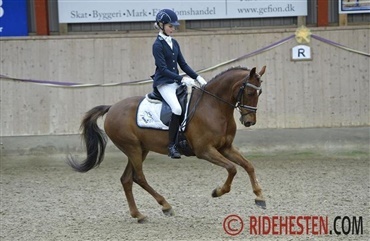 Ponyweekend hos Aagerupg&aring;rd Sportsrideklub