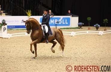 Severos vinderridt (Video) 