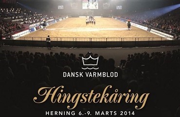 Tidsplan og katalog til Hingstek&aring;ring