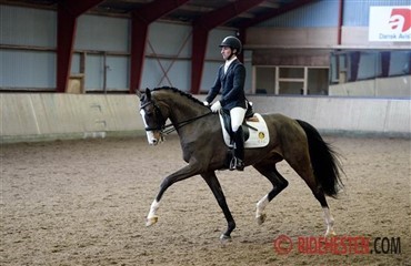 Flot dressur i Solr&oslash;d
