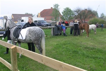 Folkeoplysnings-formand undrer sig