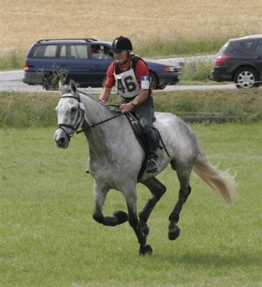 Sensationel mester
