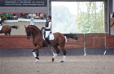 WebTV fra clinic med Prinsesse Nathalie