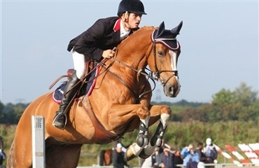 Horse2you.com st&oslash;rre end konkurrenterne