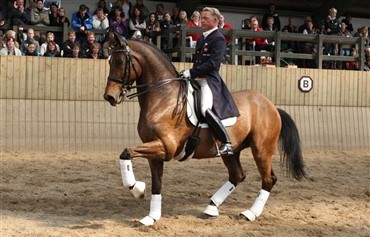 Mikado til Helgstrand Dressage 