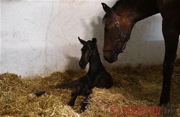 Er du klar til at tage imod f&oslash;llet?