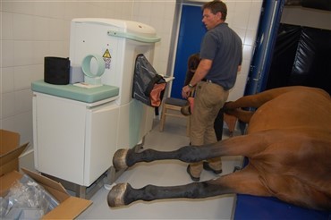 F&oslash;rste MRI scanner til heste i Danmark