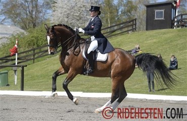 Ryttere til internationale st&aelig;vner