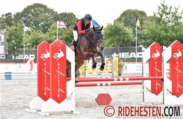 Flere topplaceringer til unghestene i udlandet (video)