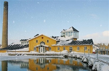 Julehilsen fra Ridehesten