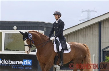 Nu starter Aalborg Dressage Event