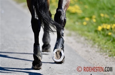 Kan skovture forebygge skader?