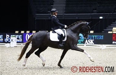 – Jeg har tid til hver eneste hest