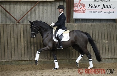 Tid til egnethedstest i Uggerhalne