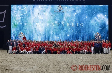 Frivillige skaber magien bag Dansk Varmblods Hingstek&aring;ring