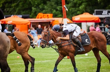 Polo vender tilbage til Bernstorffsparken