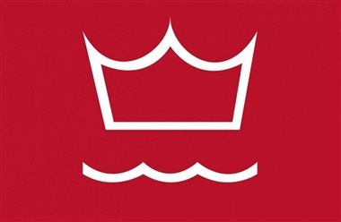 Generalforsamlinger i DV's regioner