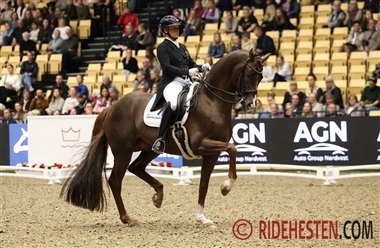 Tre pr&aelig;stationshingste k&aring;ret i DV