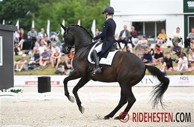 Fürsten-Flame mod nye eventyr