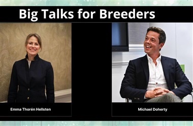 Inspiration til netv&aelig;rk og markedsf&oslash;ring