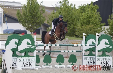 Shannon har solgt hest til canadisk toprytter