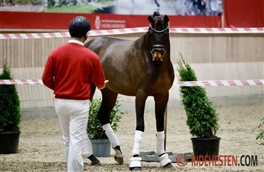 S&oslash;nner af succesfulde m&oslash;dre