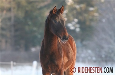 En bedre start for n&aelig;ste generation