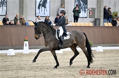 St&aelig;rk start p&aring; Ecco Cup i Sundeved