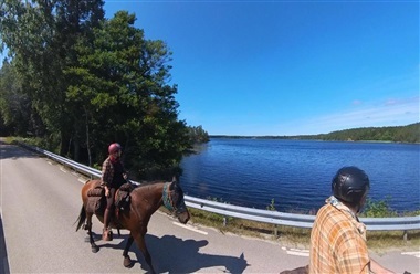 P&aring; hesteryg gennem Sverige. Del 2