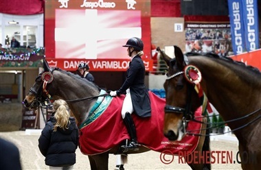 De unge talenter str&aring;ler ved Christmas-dressur