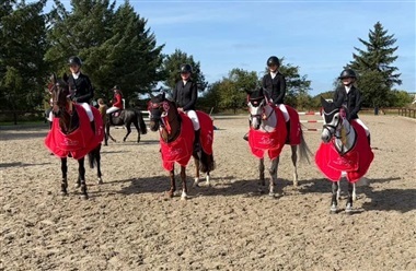 Vejle Rideklub sikrede DM-guld for ponyhold