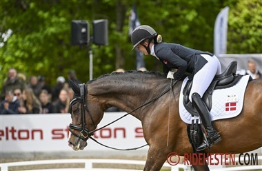 Nyt partnerskab skal st&oslash;tte skadesramte atleter