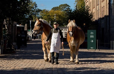 Kom til hested&aring;b hos Carlsberg