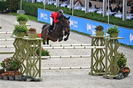 WBFSH Young Horse World Championships Jumping Zangersheid