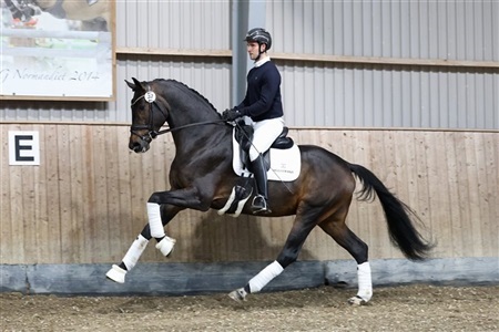 DV Indsyning til 35-dages test