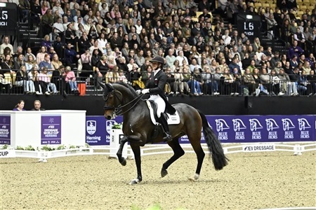 World Cup Herning 2026
