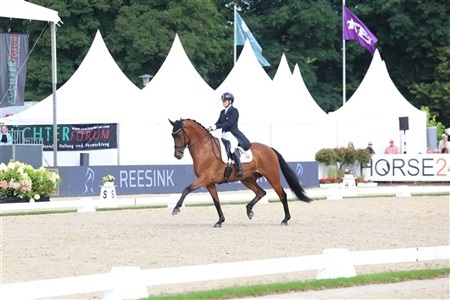 WBFSH World Breeding Dressage Championships Verden UVM