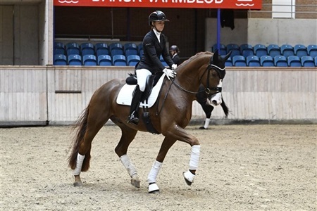 DV Egenthedstest Vilhelmsborg region 5