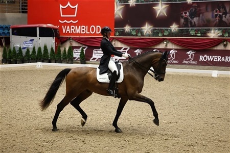 CDI Aviar Christmas Show